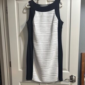 Elegant Black and White Dress